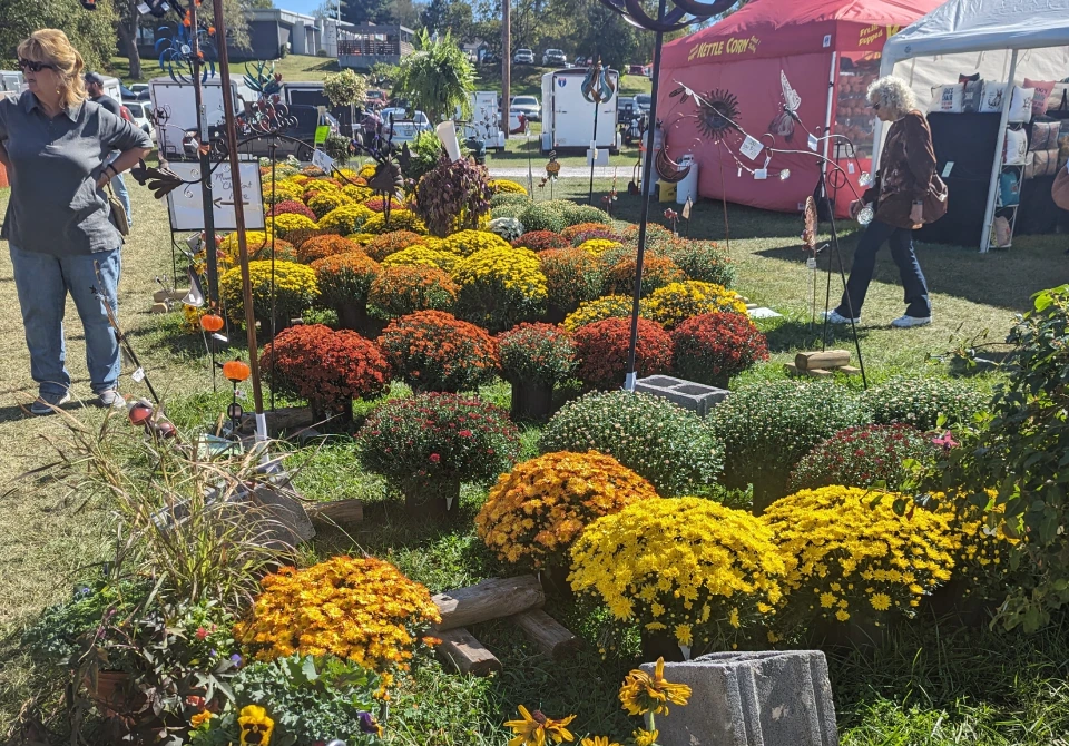 Ozark Craft Fair